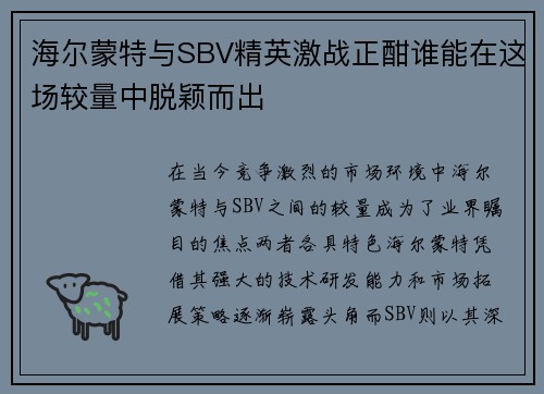 海尔蒙特与SBV精英激战正酣谁能在这场较量中脱颖而出