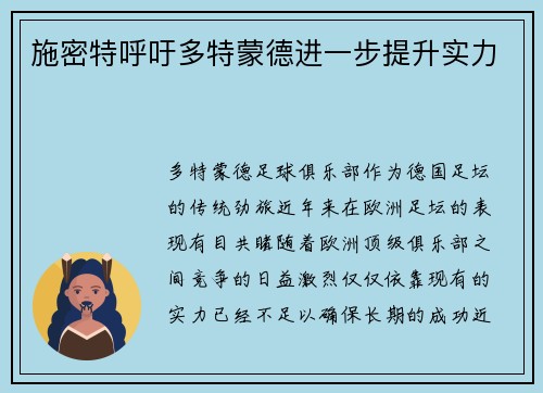 施密特呼吁多特蒙德进一步提升实力