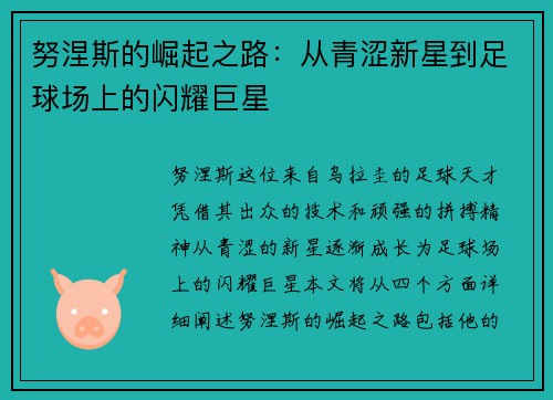 努涅斯的崛起之路：从青涩新星到足球场上的闪耀巨星