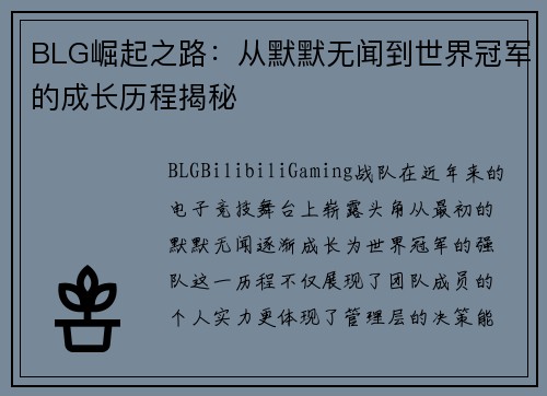 BLG崛起之路：从默默无闻到世界冠军的成长历程揭秘