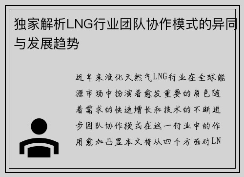 独家解析LNG行业团队协作模式的异同与发展趋势